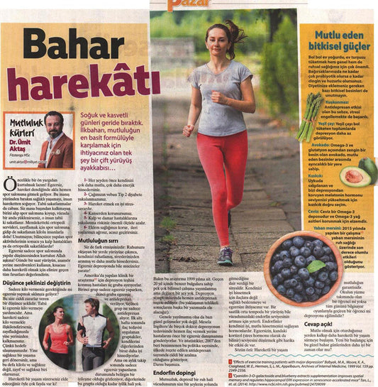 Bahar Harekatı / Milliyet Pazar