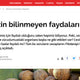 Cevizin Bilinmeyen Faydaları / Posta.com.tr