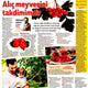 Doğal Kalp İlacı Alıçın Sağlığımıza Faydaları ve Kullanım Yöntemleri / Milliyet