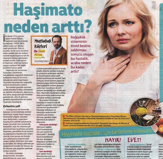 Haşimato Neden Arttı? / Milliyet Pazar