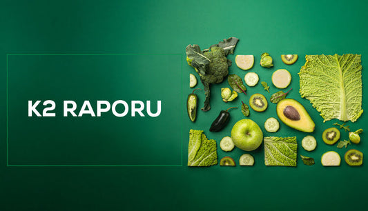 K2 Raporu