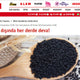 Mutfakların Küçük Siyah Mucizesi Çörek Otu ile Kanserle Savaşın! / Aksam.com.tr