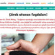 Mutfakların Küçük Siyah Mucizesi Çörek Otu ile Kanserle Savaşın! / Haberturk.com.tr