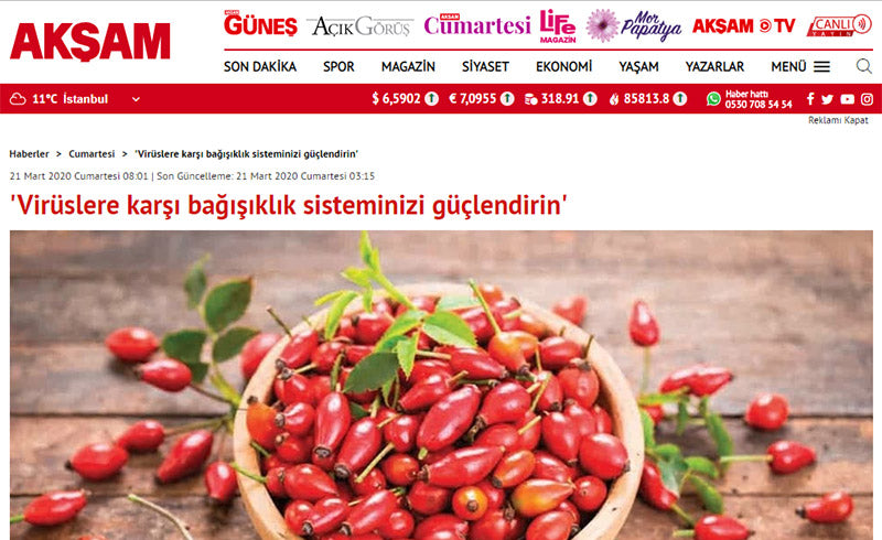 Virüslere Karşı Bağışıklık Sisteminizi Güçlendirin / Aksam.com.tr